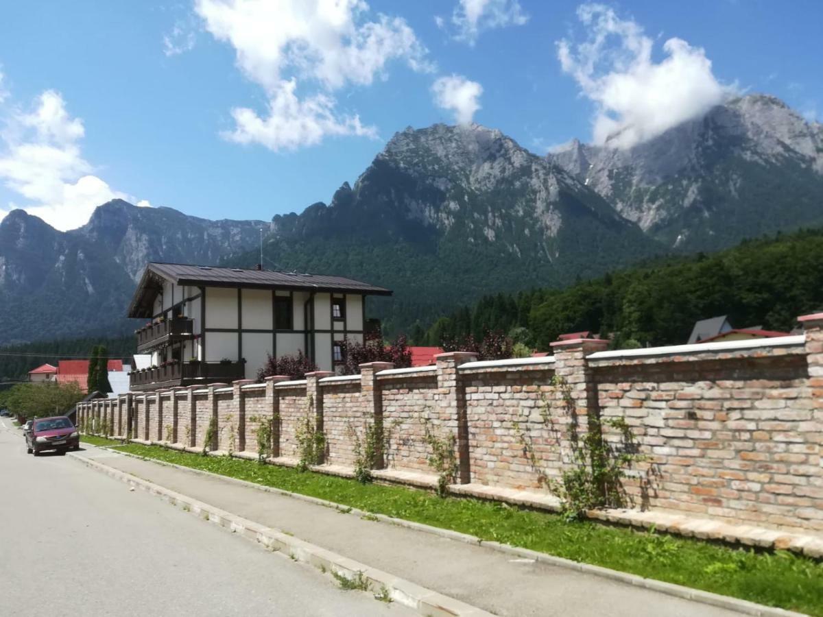 Vila Norbe Szászbuda Kültér fotó